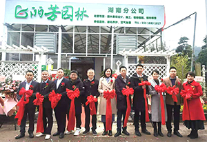 ��ҳ- ABGŷ�����Ź�����¼���