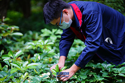 ��ҳ- ABGŷ�����Ź�����¼���