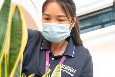 ��ҳ- ABGŷ�����Ź�����¼���