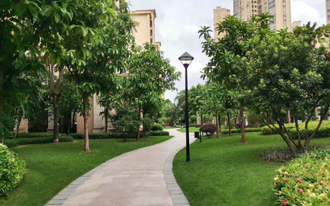 ��ҳ- ABGŷ�����Ź�����¼���