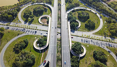 ��ҳ- ABGŷ�����Ź�����¼���