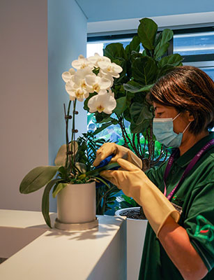 ��ҳ- ABGŷ�����Ź�����¼���