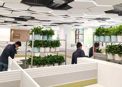 ��ҳ- ABGŷ�����Ź�����¼���