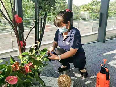 ��ҳ- ABGŷ�����Ź�����¼���