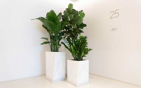 ��ҳ- ABGŷ�����Ź�����¼���