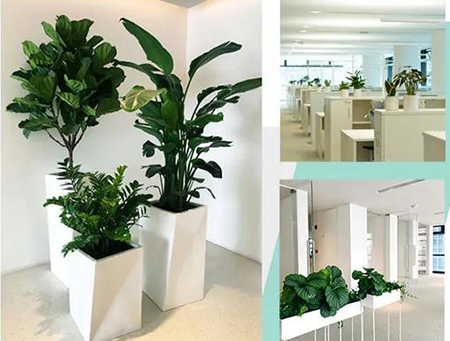 ��ҳ- ABGŷ�����Ź�����¼���