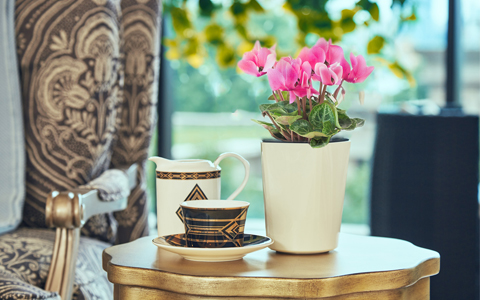 ��ҳ- ABGŷ�����Ź�����¼���