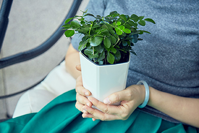 ��ҳ- ABGŷ�����Ź�����¼���