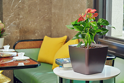 ��ҳ- ABGŷ�����Ź�����¼���