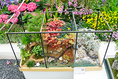 ��ҳ- ABGŷ�����Ź�����¼���