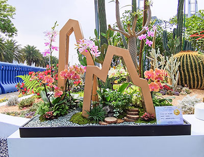 ��ҳ- ABGŷ�����Ź�����¼���