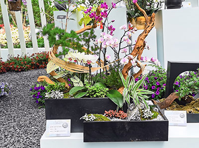 ��ҳ- ABGŷ�����Ź�����¼���