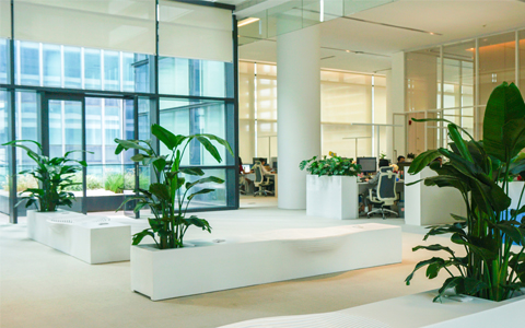 ��ҳ- ABGŷ�����Ź�����¼���