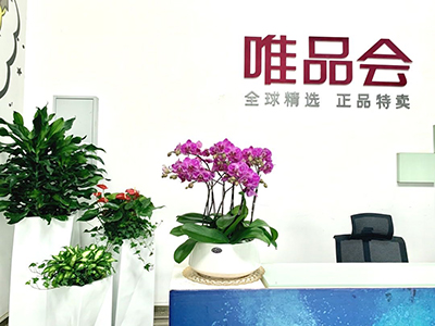 ��ҳ- ABGŷ�����Ź�����¼���