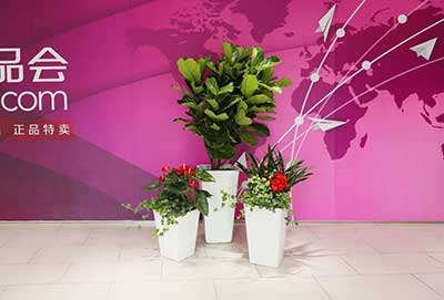 ��ҳ- ABGŷ�����Ź�����¼���