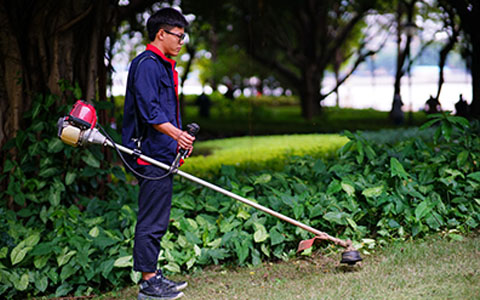 ��ҳ- ABGŷ�����Ź�����¼���