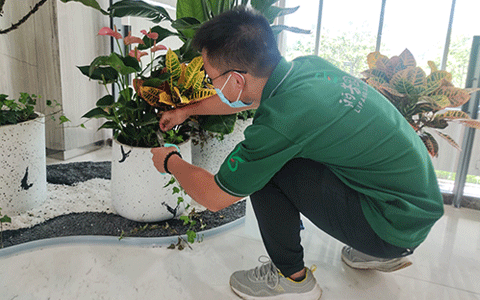 ��ҳ- ABGŷ�����Ź�����¼���