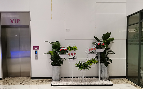 ��ҳ- ABGŷ�����Ź�����¼���