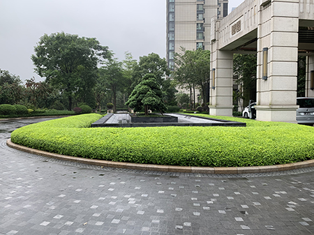 ��ҳ- ABGŷ�����Ź�����¼���