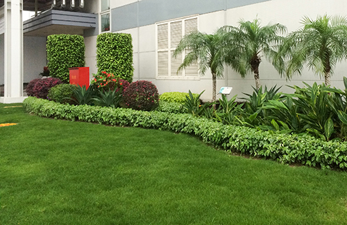 ��ҳ- ABGŷ�����Ź�����¼���