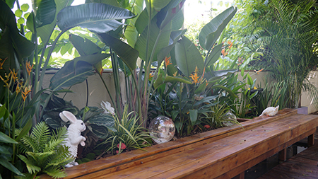 ��ҳ- ABGŷ�����Ź�����¼���