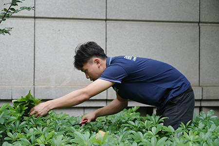 ��ҳ- ABGŷ�����Ź�����¼���