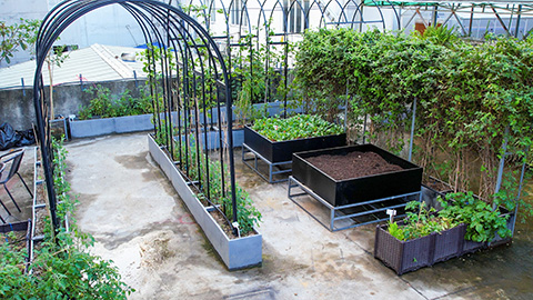 ��ҳ- ABGŷ�����Ź�����¼���