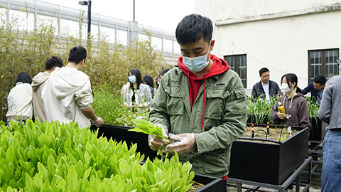 ��ҳ- ABGŷ�����Ź�����¼���