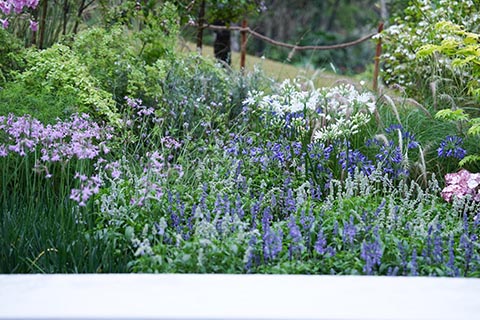 ��ҳ- ABGŷ�����Ź�����¼���