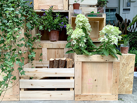 ��ҳ- ABGŷ�����Ź�����¼���