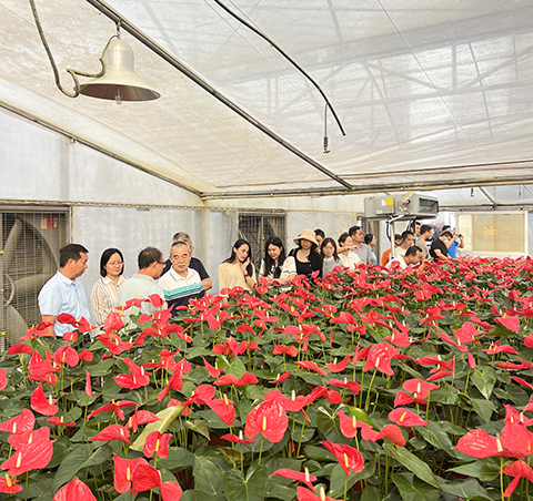 ��ҳ- ABGŷ�����Ź�����¼���