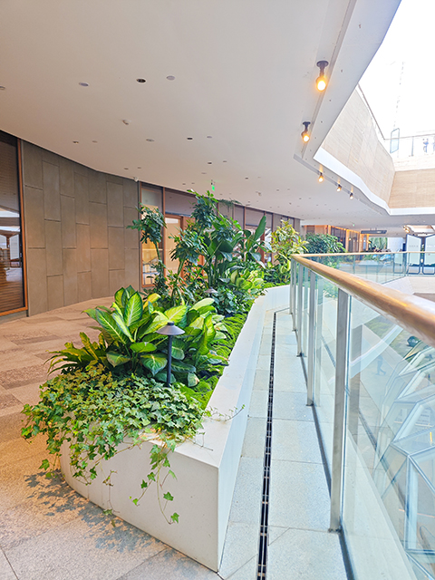 ��ҳ- ABGŷ�����Ź�����¼���