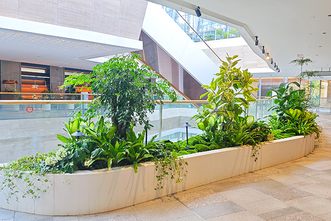 ��ҳ- ABGŷ�����Ź�����¼���