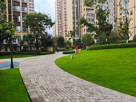 ��ҳ- ABGŷ�����Ź�����¼���