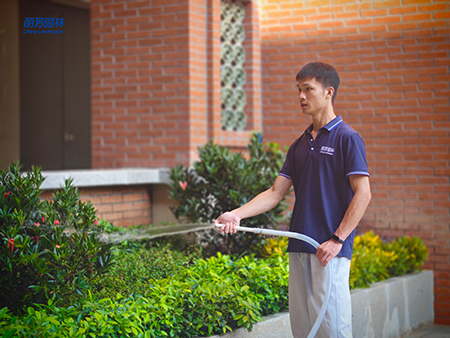 ��ҳ- ABGŷ�����Ź�����¼���