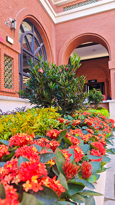 ��ҳ- ABGŷ�����Ź�����¼���