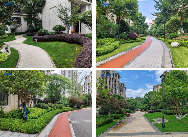 ��ҳ- ABGŷ�����Ź�����¼���