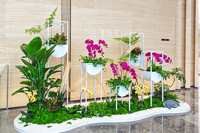 ��ҳ- ABGŷ�����Ź�����¼���