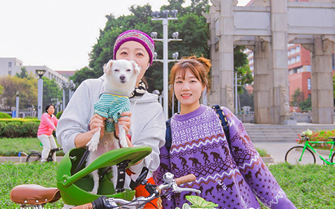 ��ҳ- ABGŷ�����Ź�����¼���