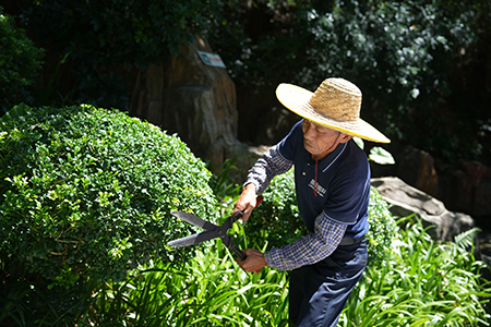 ��ҳ- ABGŷ�����Ź�����¼���