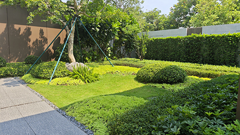 ��ҳ- ABGŷ�����Ź�����¼���