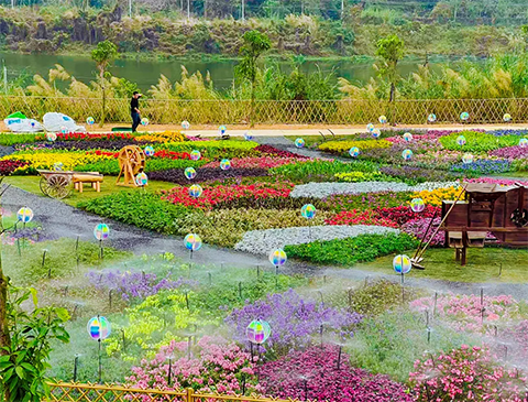 ��ҳ- ABGŷ�����Ź�����¼���