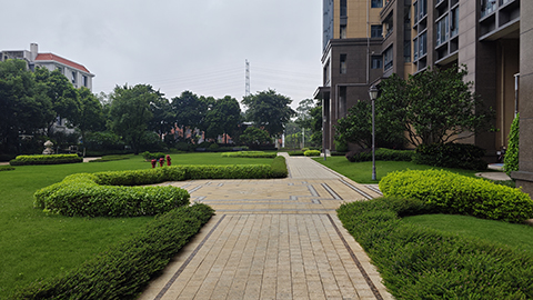 ��ҳ- ABGŷ�����Ź�����¼���