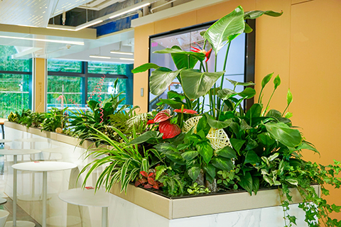 ��ҳ- ABGŷ�����Ź�����¼���