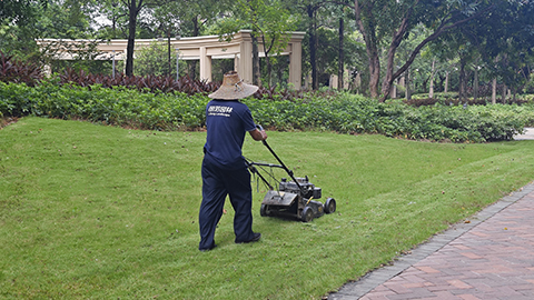 ��ҳ- ABGŷ�����Ź�����¼���