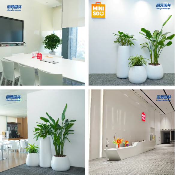 ��ҳ- ABGŷ�����Ź�����¼���