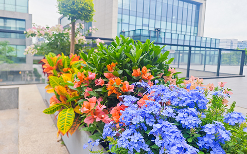 ��ҳ- ABGŷ�����Ź�����¼���