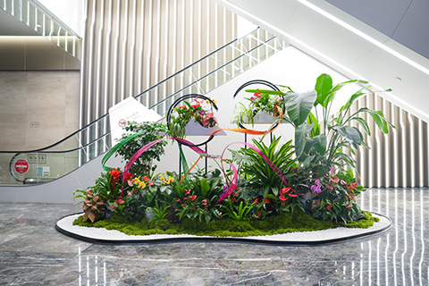 ��ҳ- ABGŷ�����Ź�����¼���