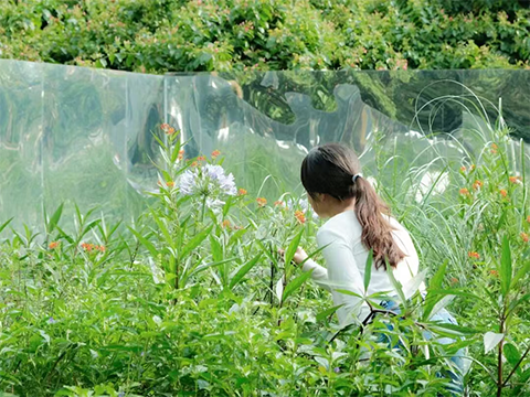 ��ҳ- ABGŷ�����Ź�����¼���