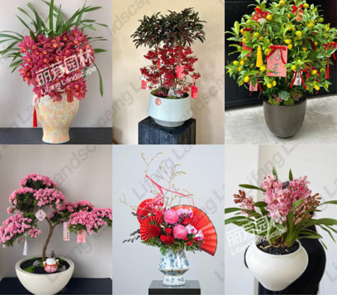 ��ҳ- ABGŷ�����Ź�����¼���